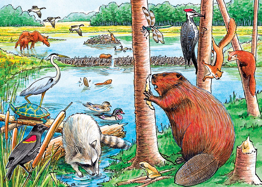 The Beaver Pond (tray) | 35 Piece Tray - Image 4